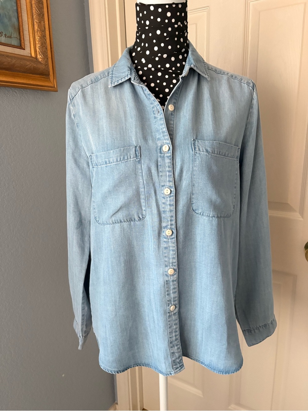 Quince Light Blue Denim Button-Down Shirt